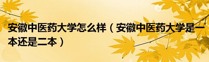 安徽中医药大学怎么样(安徽中医药大学是一本还是二本)
