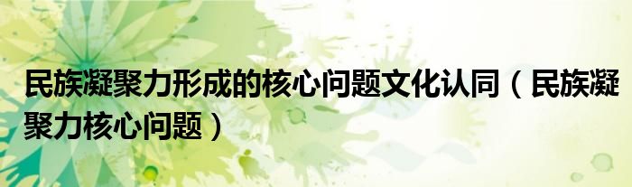民族凝聚力形成的核心问题文化认同(民族凝聚力核心问题)