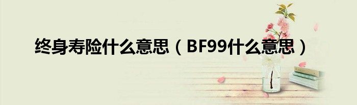 终身寿险什么意思(BF99什么意思)