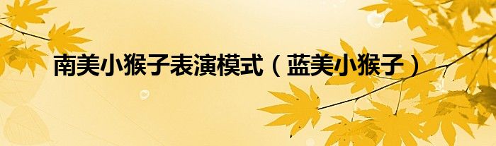 南美小猴子表演模式(蓝美小猴子)