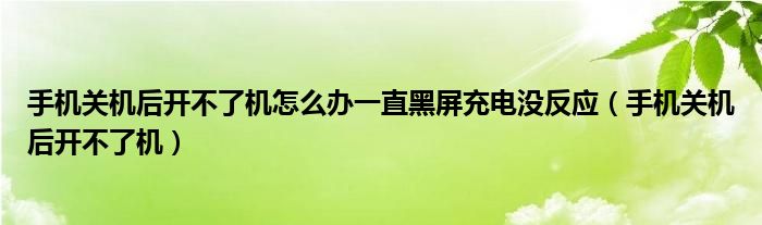 手机关机后开不了机怎么办一直黑屏充电没反应(手机关机后开不了机)