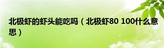 北极虾的虾头能吃吗(北极虾80 100什么意思)