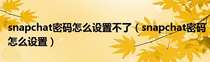 snapchat密码怎么设置不了(snapchat密码怎么设置)