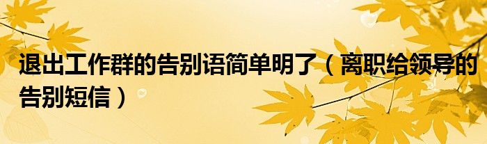 退出工作群的告别语简单明了(离职给领导的告别短信)