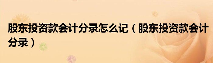 股东投资款会计分录怎么记(股东投资款会计分录)