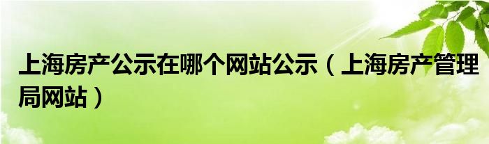 上海房产公示在哪个网站公示（上海房产管理局网站）