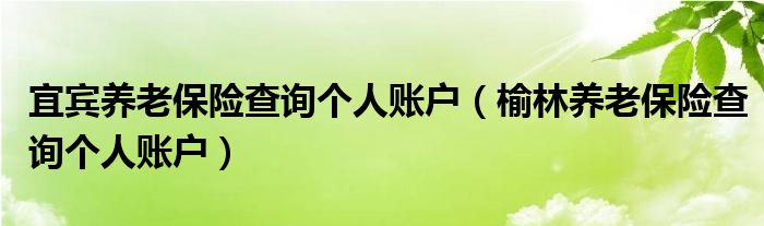 宜宾养老保险查询个人账户(榆林养老保险查询个人账户)