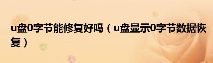 u盘0字节能修复好吗(u盘显示0字节数据恢复)