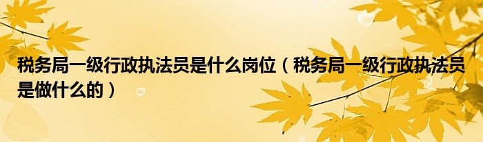 税务局一级行政执法员是什么岗位(税务局一级行政执法员是做什么的)