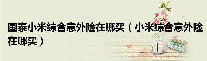 国泰小米综合意外险在哪买(小米综合意外险在哪买)