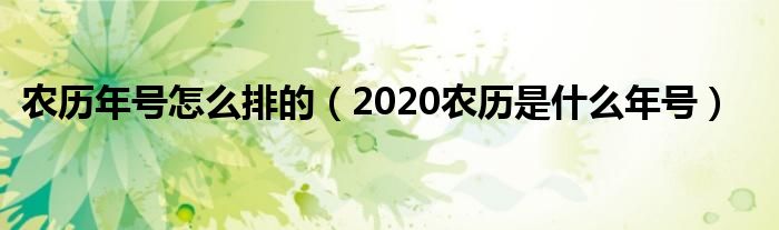 农历年号怎么排的(2020农历是什么年号)