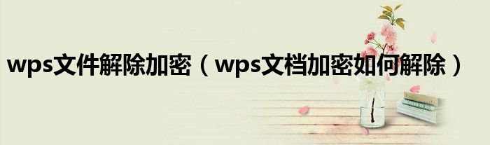 wps文件解除加密(wps文档加密如何解除)