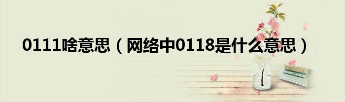0111啥意思(网络中0118是什么意思)