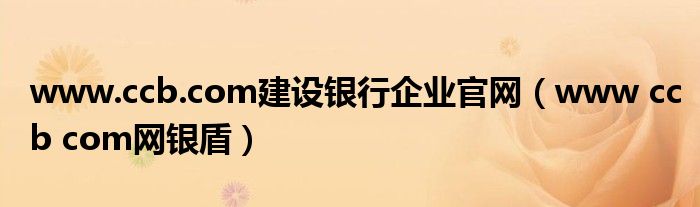 www.ccb.com建设银行企业官网(www ccb com网银盾)