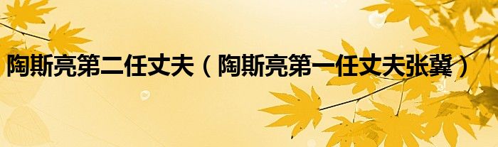 陶斯亮第二任丈夫(陶斯亮第一任丈夫张冀)