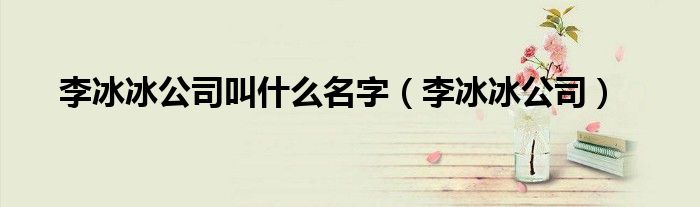 李冰冰公司叫什么名字(李冰冰公司)