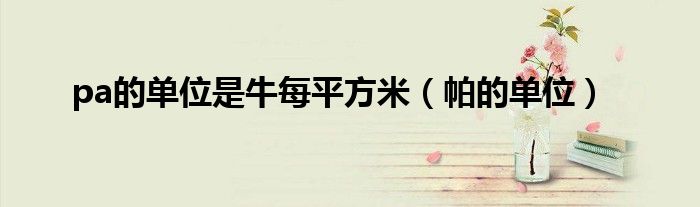 pa的单位是牛每平方米(帕的单位)