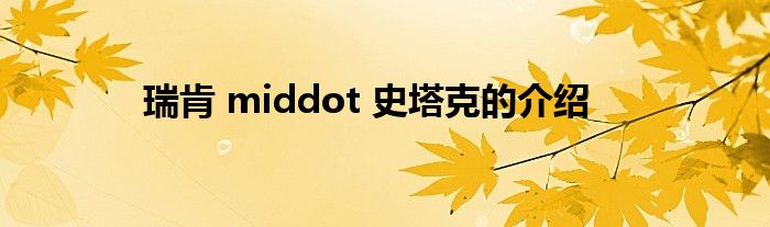 瑞肯 middot 史塔克的介绍