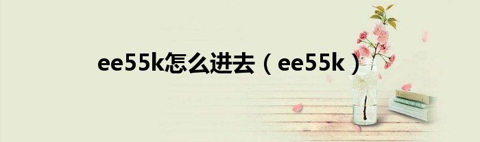 ee55k怎么进去(ee55k)