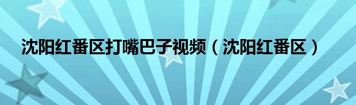 沈阳红番区打嘴巴子视频(沈阳红番区)