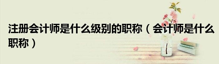 注册会计师是什么级别的职称(会计师是什么职称)