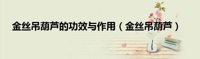金丝吊葫芦的功效与作用(金丝吊葫芦)