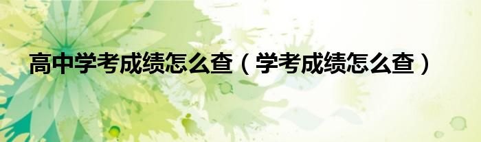 高中学考成绩怎么查(学考成绩怎么查)