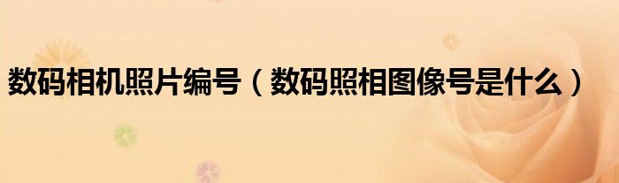 数码相机照片编号(数码照相图像号是什么)