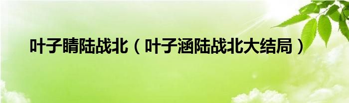 叶子睛陆战北(叶子涵陆战北大结局)