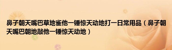 鼻子朝天嘴巴草地雀他一锤惊天动地打一日常用品(鼻子朝天嘴巴朝地敲他一锤惊天动地)
