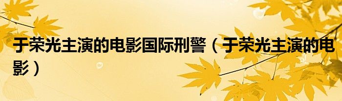 于荣光主演的电影国际刑警(于荣光主演的电影)