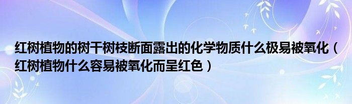 红树植物的树干树枝断面露出的化学物质什么极易被氧化(红树植物什么容易被氧化而呈红色)