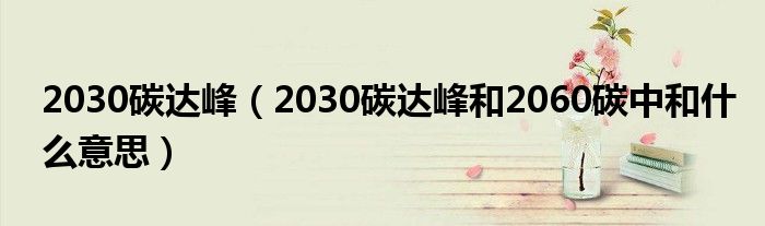 2030碳达峰(2030碳达峰和2060碳中和什么意思)