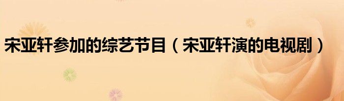 宋亚轩参加的综艺节目(宋亚轩演的电视剧)