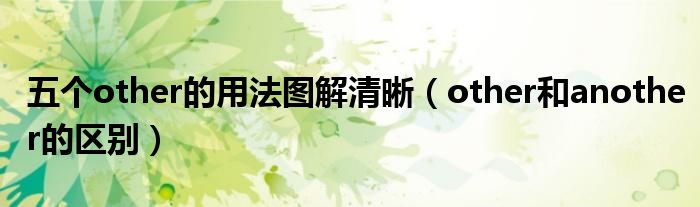 五个other的用法图解清晰(other和another的区别)