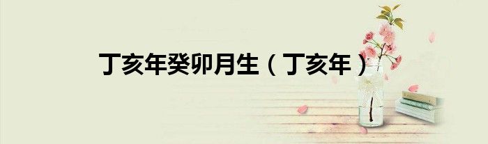 丁亥年癸卯月生（丁亥年）