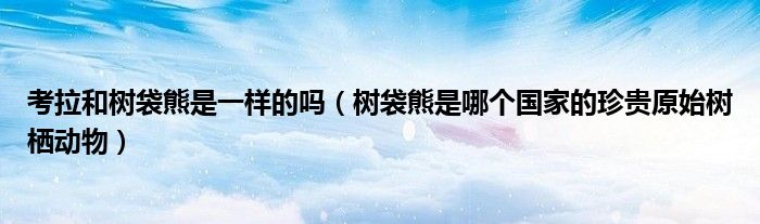 考拉和树袋熊是一样的吗(树袋熊是哪个国家的珍贵原始树栖动物)