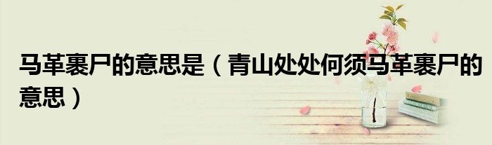 马革裹尸的意思是(青山处处何须马革裹尸的意思)