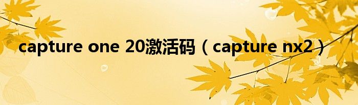 capture one 20激活码(capture nx2)