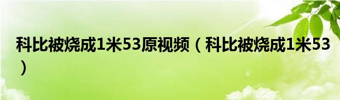 科比被烧成1米53原视频(科比被烧成1米53)
