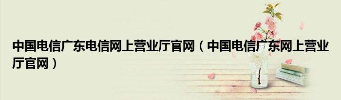 中国电信广东电信网上营业厅官网(中国电信广东网上营业厅官网)