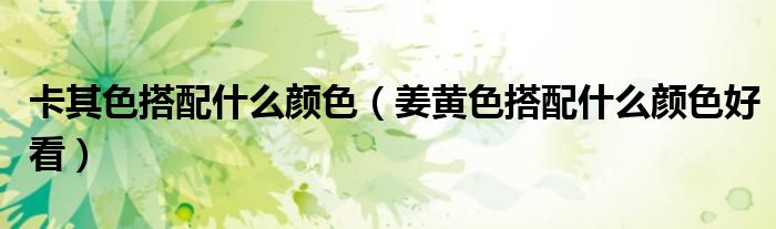 卡其色搭配什么颜色(姜黄色搭配什么颜色好看)