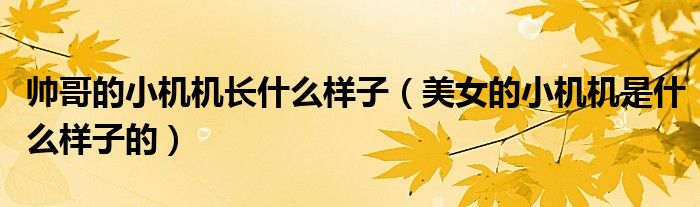 帅哥的小机机长什么样子(美女的小机机是什么样子的)