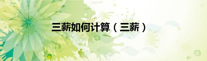 三薪如何计算（三薪）