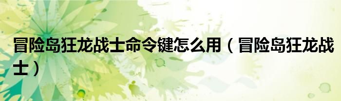 冒险岛狂龙战士命令键怎么用(冒险岛狂龙战士)