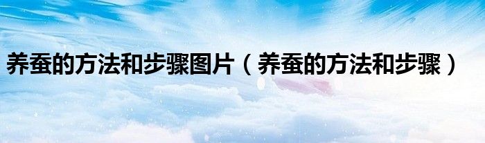 养蚕的方法和步骤图片(养蚕的方法和步骤)