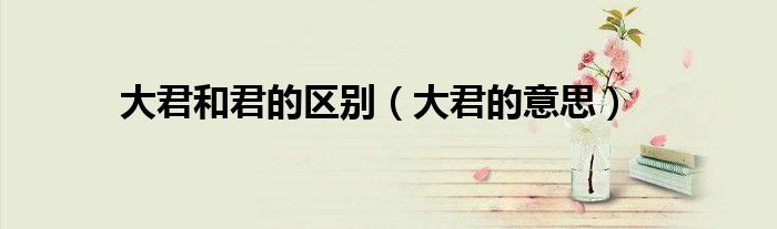 大君和君的区别(大君的意思)