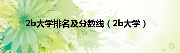 2b大学排名及分数线(2b大学)