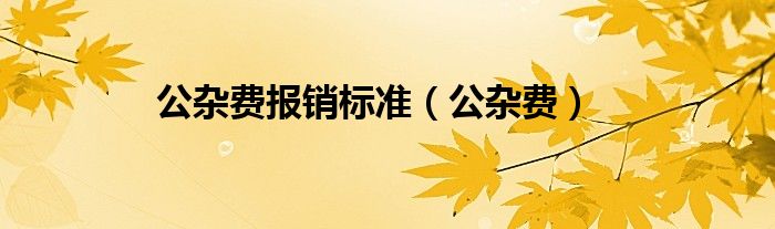 公杂费报销标准（公杂费）