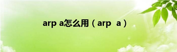 arp a怎么用(arp a)